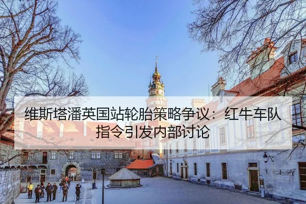 wei-si-ta-pan-ying-guo-zhan-lun-tai-ce-lve-zheng-yi-hong-niu-che-dui-zhi-ling-yin-fa-nei-bu-tao-lun-3-755.jpg