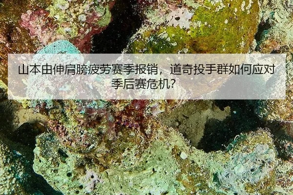 shan-ben-you-shen-jian-bang-pi-lao-sai-ji-bao-xiao-dao-qi-tou-shou-qun-ru-he-ying-dui-ji-hou-sai-wei-ji-2-457.jpg